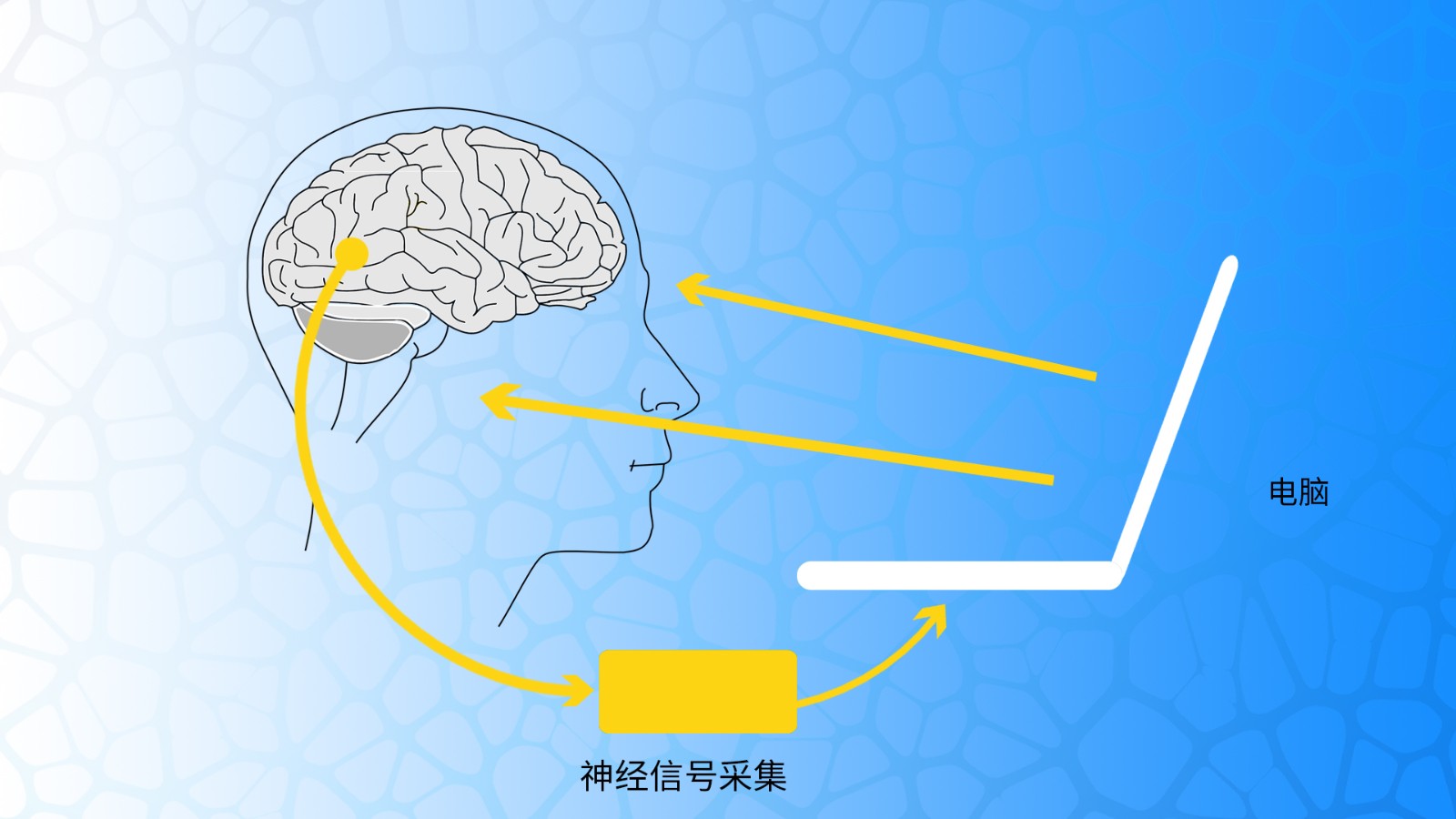 脑电在神经生物反馈中的应用